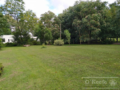 Imagen 6 de 22 de Casa-quinta En Venta Ideal Para Combinar El Trabajo Y El Relax De La Naturaleza - Estancia Las Malvinas - Brandsen