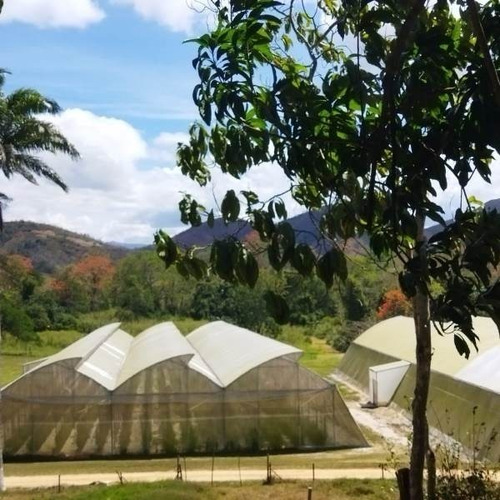 Imagen 13 de 15 de Belklia/ofrece Finca 242h.a ,pista Aterrizaje Carabobo (yol)
