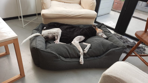 Imagen 2 de 5 de Cama Para Perro Toy Clásico Lola Pets 100x70 Cm