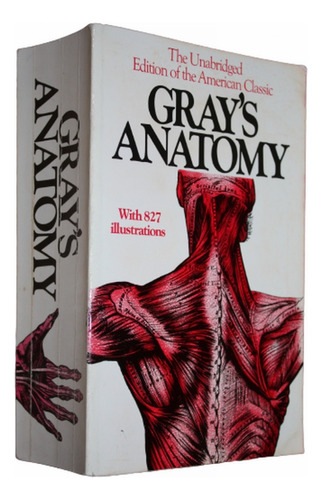 Gray's Anatomy - Henry Gray - En Ingles