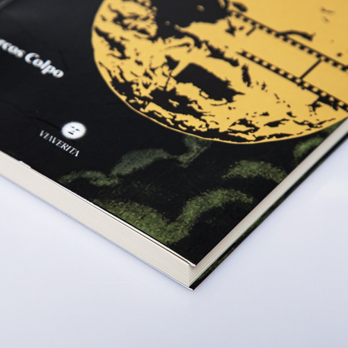 Livro Pesquisa Fenomenológica E Hermenêutica