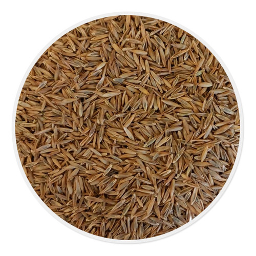 Semilla De Pasto Survivor Mezcla De Var. Mejoradas (10 Kg)