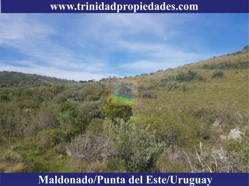 Imagen 7 de 10 de 86has Campo Turístico En Los Caracoles