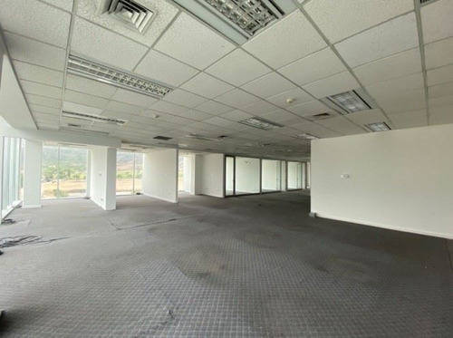 Oficina Habilitada 1.146 M2 - Del Valle