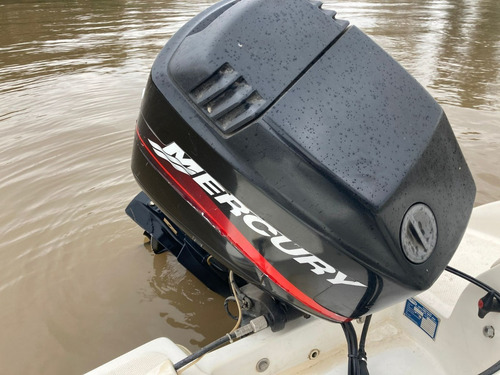 Imagen 9 de 10 de Lancha Arco Iris Fishing 490 Con Mercury 90hp 2t Automix