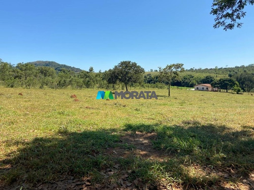 Imagem 3 de 15 de Fazenda - Zona Rural - Ref: 5532 - V-mta5532