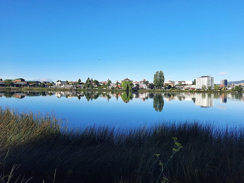 Invierter En La Perla Del Sur, Vasto Terreno En Valdivia