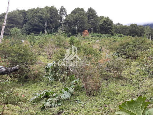 Imagen 23 de 30 de Agrícola En Venta En Aisén