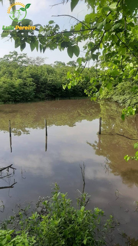 Imagem 9 de 15 de Fazenda À Venda Em Grajaú - Ma - 1.500 Hectares (dupla Aptidão) - 2114