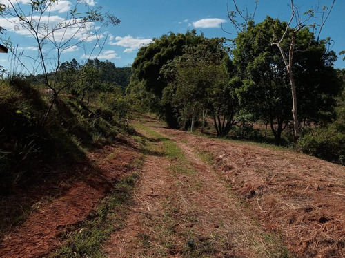 Imagem 3 de 21 de 03t- Venha Usufluir Da Cachoeira No Quintal Da Sua Casa!!