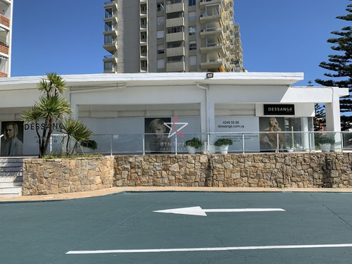Local Comercial, Peninsula ,mansa, Punta Del Este, Venta Y Alquiler- Ref: 196