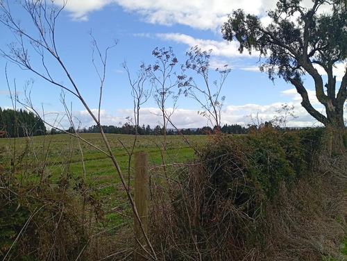 Terreno Ubicado A 6 Km De La Union, Sector Cudico