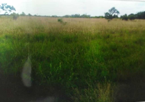 Imagen 2 de 8 de Tierras Para Engorde De Ganado En Guarico