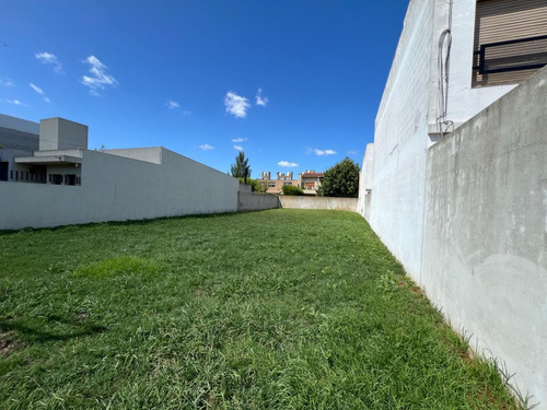 Lote Único En Barrio Escribano