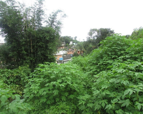 Imagem 10 de 15 de Juquitiba/terreno Para Moradia. - 04592 - 33229226