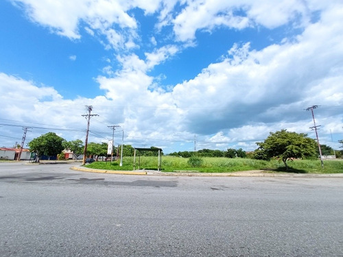 Imagen 3 de 10 de Terreno Venta Res. Palo Negro Casas, Canchas