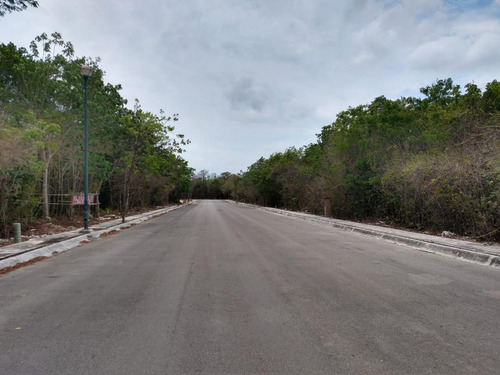 Imagen 16 de 21 de Terreno - Los Arrecifes Lotes Condominales En Venta, En Playa Del Carmen