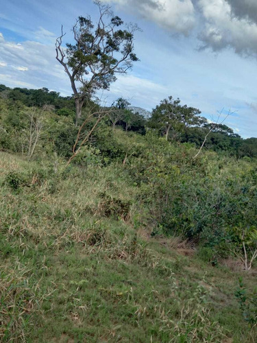 Imagem 5 de 14 de Sitio Chapadao Do Ceu 80 Alqueires Valor 6.500.000