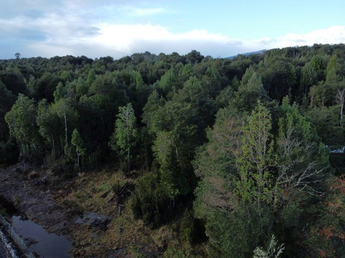 Vende Parcela Sector Tres Puentes 20 Min Centro Pto. Varas