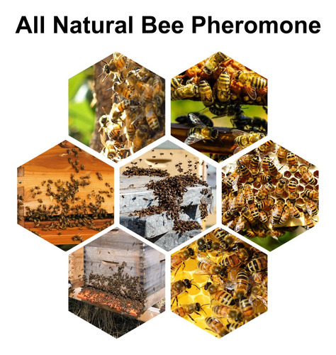 Atrayente Para Abejas De Granja: Atrae Naturalmente A Tu Col