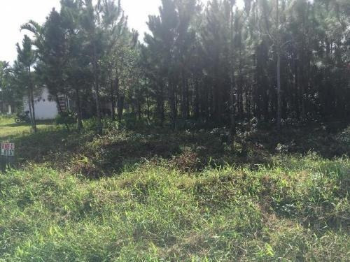 Imagem 1 de 3 de Terreno No Litoral Com 1500 M², Em Itanhaém/sp 5755-pc