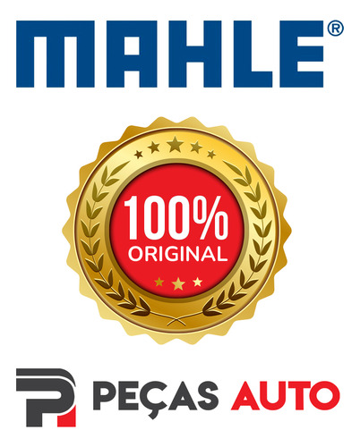 Elemento Para Filtro De Ar Mahle Lx1883