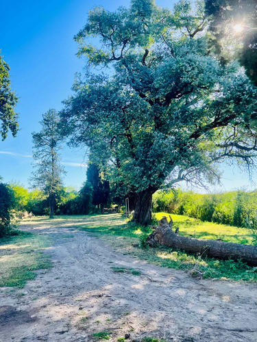 Venta Campo 7 Hectáreas El Cazador, Escobar