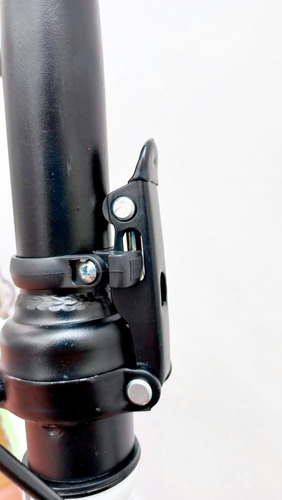 Imagen 3 de 3 de Bici Fire Bird Plegable Acero Freno A Disco Rodado 20