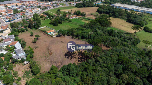 Imagem 11 de 30 de Terreno À Venda, 17538 M² Por R$ 3.500.000,00 - Guatupê - São José Dos Pinhais/pr - Te0074