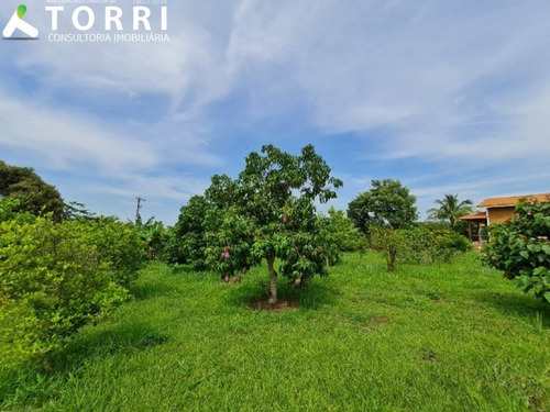 Imagem 19 de 20 de Chácara À Venda Em Porangaba - Ch00405 - 69819435