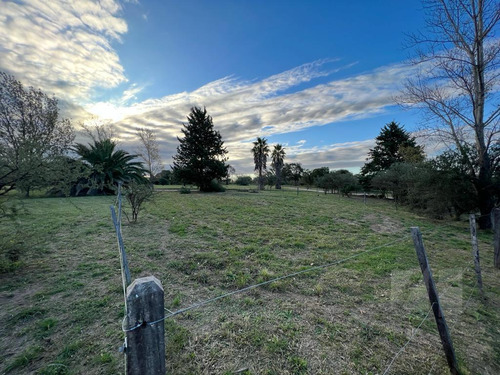 Cuarta Etapa Excelente Vista 511m2