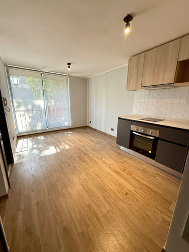 Moderno 1 Habitación/ Toesca (80023)