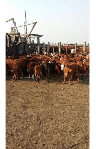 Imagen 7 de 14 de Campo En Venta En Nogoyá Entre Rios