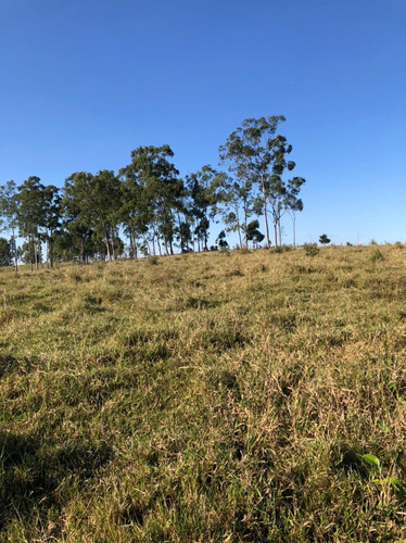 Imagem 11 de 14 de D31 - Aceitamos Seu Veículo Na Troca Do Nosso Terreno.