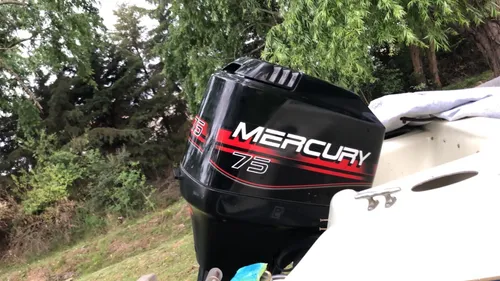 Lancha. Casco Genua 4,90 Motor Mercury 75 Hp