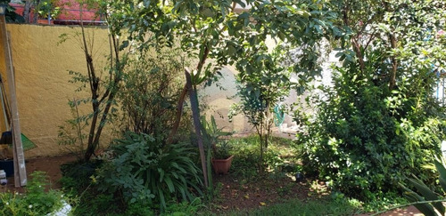 Imagem 12 de 15 de Casa Térrea, Confortável, Com Jardim Frontal Com Árvores Frutíferas, Com 3 Dormitórios E 4 Vagas . - Tw15952