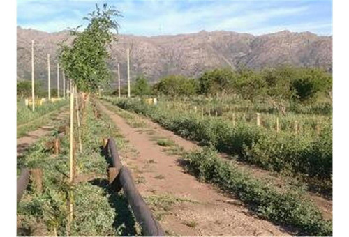 Imagen 1 de 6 de Invierta En Un Lote Con Vista Privilegiada Y Acceso Rapido!