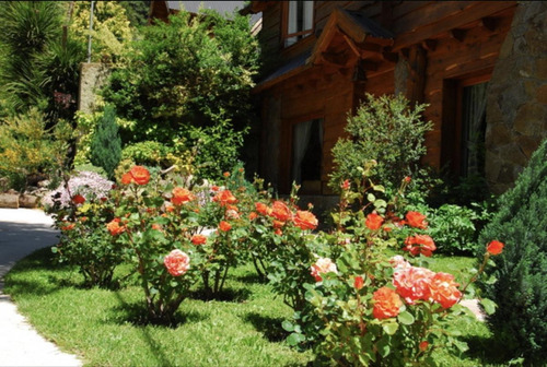 Complejo De 5 Cabañas Turísticas Con Pileta Climatizada - San Martin De Los Andes