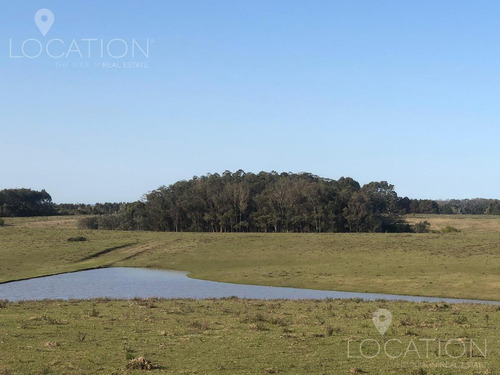 Chacra - José Ignacio