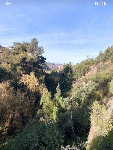 El Arrayan