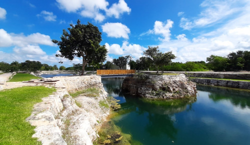 Terreno En Puerta De Agua Yucatán