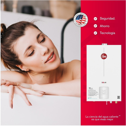 Calentador De Agua 14lt Gas Propano Tiro Forzado Dig Rheem