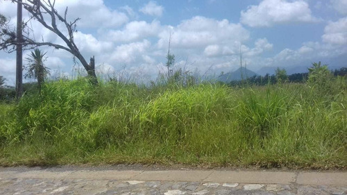 Imagen 4 de 8 de Se Vende Terreno En Sta. Gertrudis (fortin) ¡ideal Para Desarrolladores!