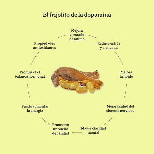 Mucuna Pruriens Adaptógeno 100g Commons Polvo 100% Orgánico
