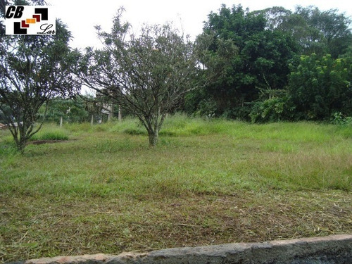Imagem 13 de 15 de Chacara - Ch00044 - 2532623