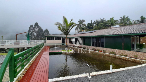 Imagem 23 de 30 de Linda Chácara Em Águas Mornas Com 3 Hectares - Ch0005