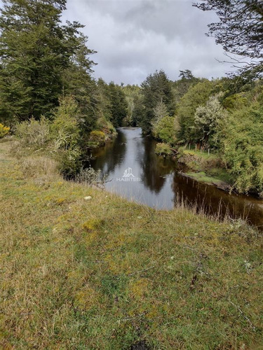Imagen 18 de 30 de Agrícola En Venta En Ancud
