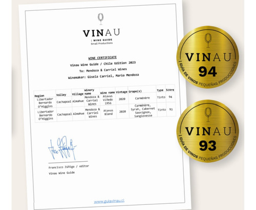 Vino Premium Atavus Carmenere Valle Cachapoal Viña Boutique