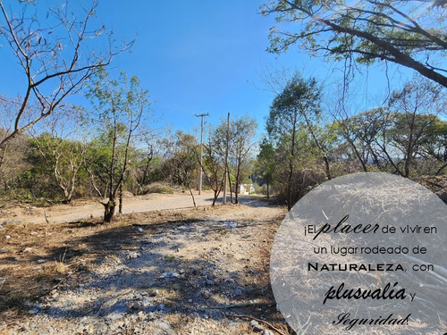 Venta Lote Iris I Muy Plano Y De Bonita Vista Además De Doble Frente En Doble Calle Con Proyecto Incluído En Fracc Rancho San Diego Ixtapan De La Sal Edomex