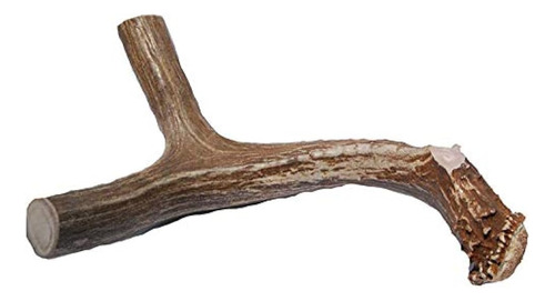 Big Dog Antler Chews Xl Ciervo De Ciervo Chew Dog Jumbo Extr